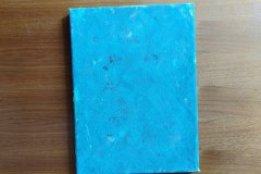 IMG_20220308_123619